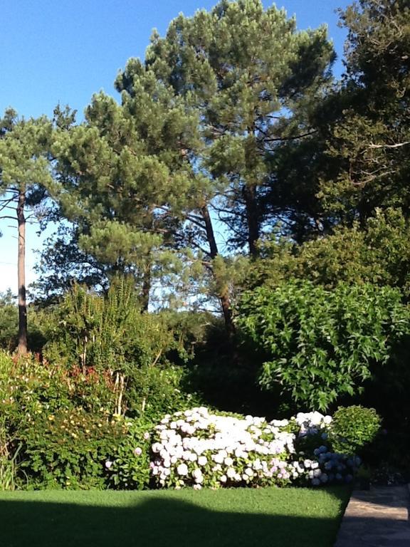 Golfetmer Studio Saint-Jean-de-Luz